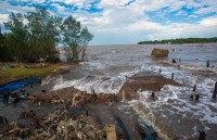 firms in mekong delta perform well in 2017