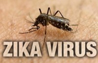 93 trieu nguoi tai chau my co the bi lay nhiem virus zika