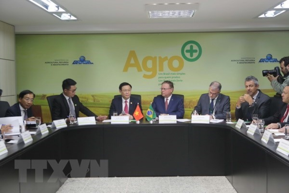 vietnam brazil cement multifaceted cooperation