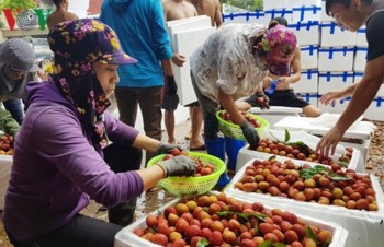 Russia’s World Cup market buy into Vietnam’s refreshing lychees