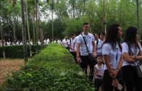 bilingual film shows hung king temple and vietnamese beliefs