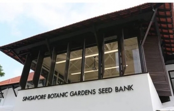 Singapore lập ngân hàng hạt giống để bảo tồn đa dạng thực vật