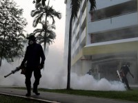 singapore 16 phu nu mang thai bi nhiem virus zika