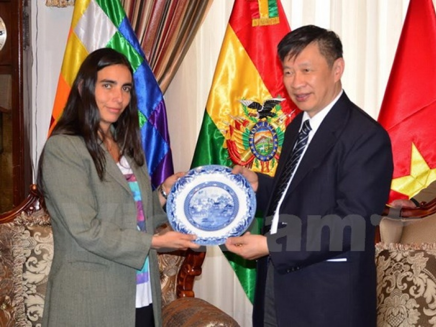 Việt Nam thúc đẩy quan hệ với các chính đảng của Bolivia