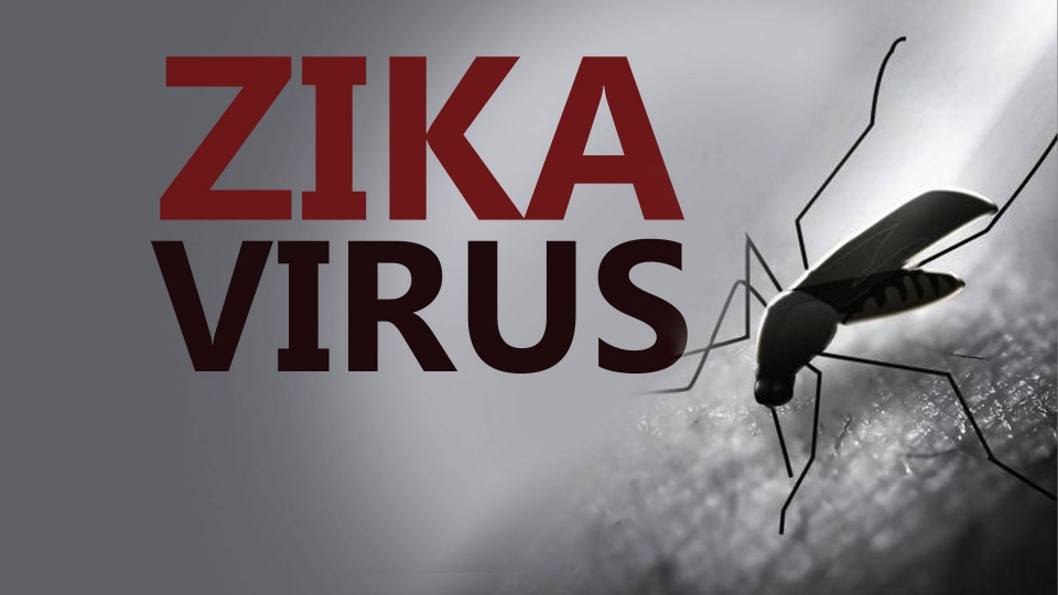 my chi 11 ty usd cho phong chong virus zika