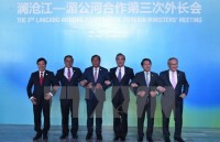 cameroon keen on broadening affiliation with vietnam