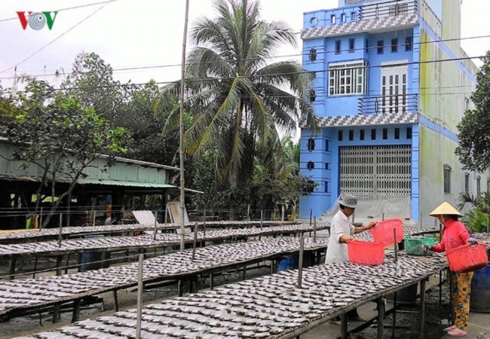 ca maus fishing villages prepare for tet