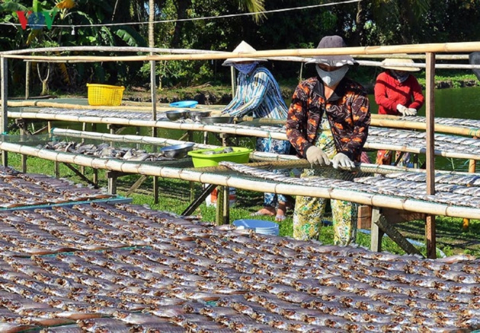 ca maus fishing villages prepare for tet