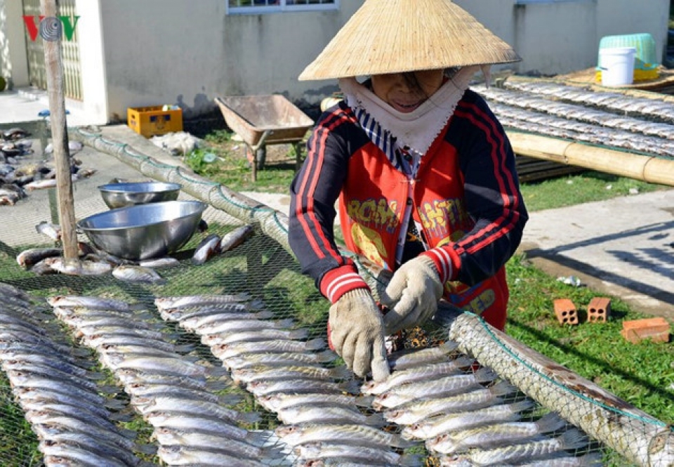 ca maus fishing villages prepare for tet