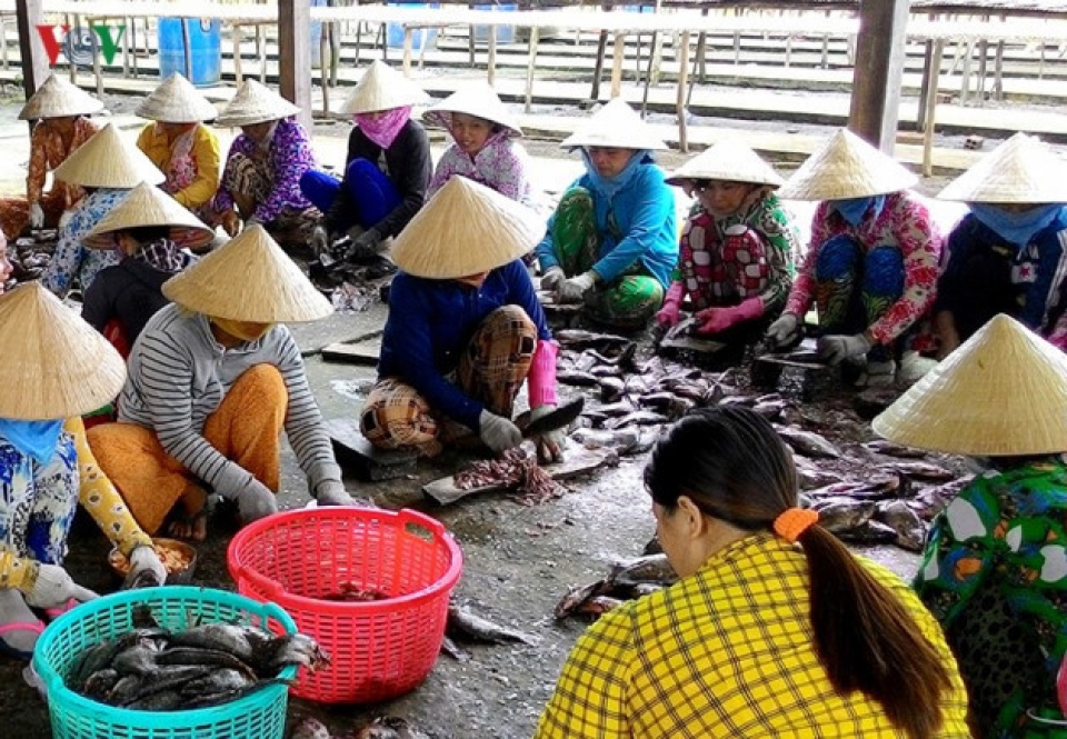 ca maus fishing villages prepare for tet