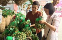 forum promotes exports of agricultural products to eu