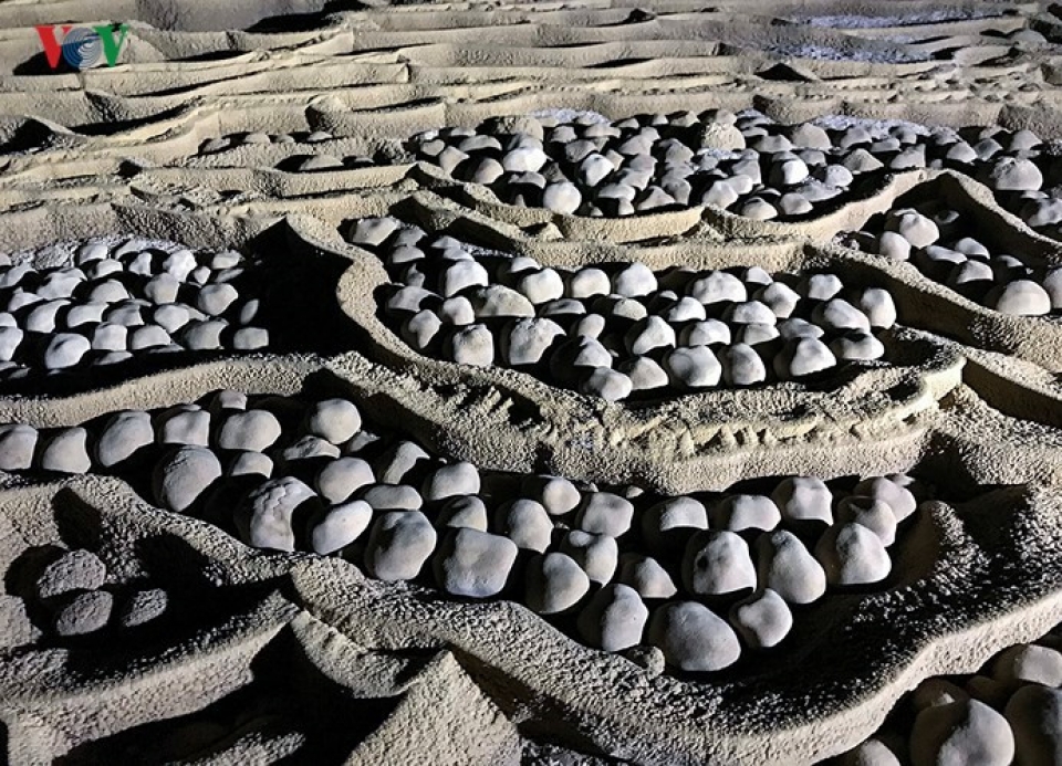 exploring son doong cave in early spring