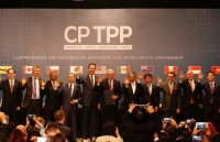 vietnam has important role in japans cptpp strategy japanese expert