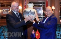 elevating vietnam new zealand relations