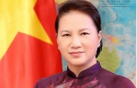 vietnam participates in embassy festival in netherlands