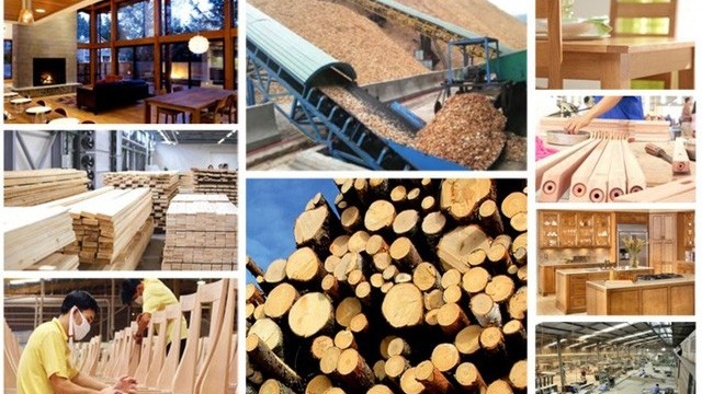 18.5 billion USD goal set for wood export in 2025