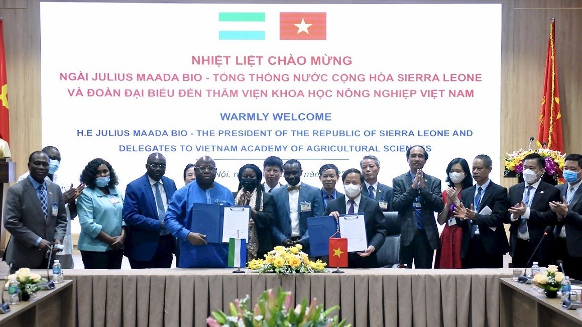 Thúc đẩy hợp tác nông nghiệp Việt Nam-Sierra Leone