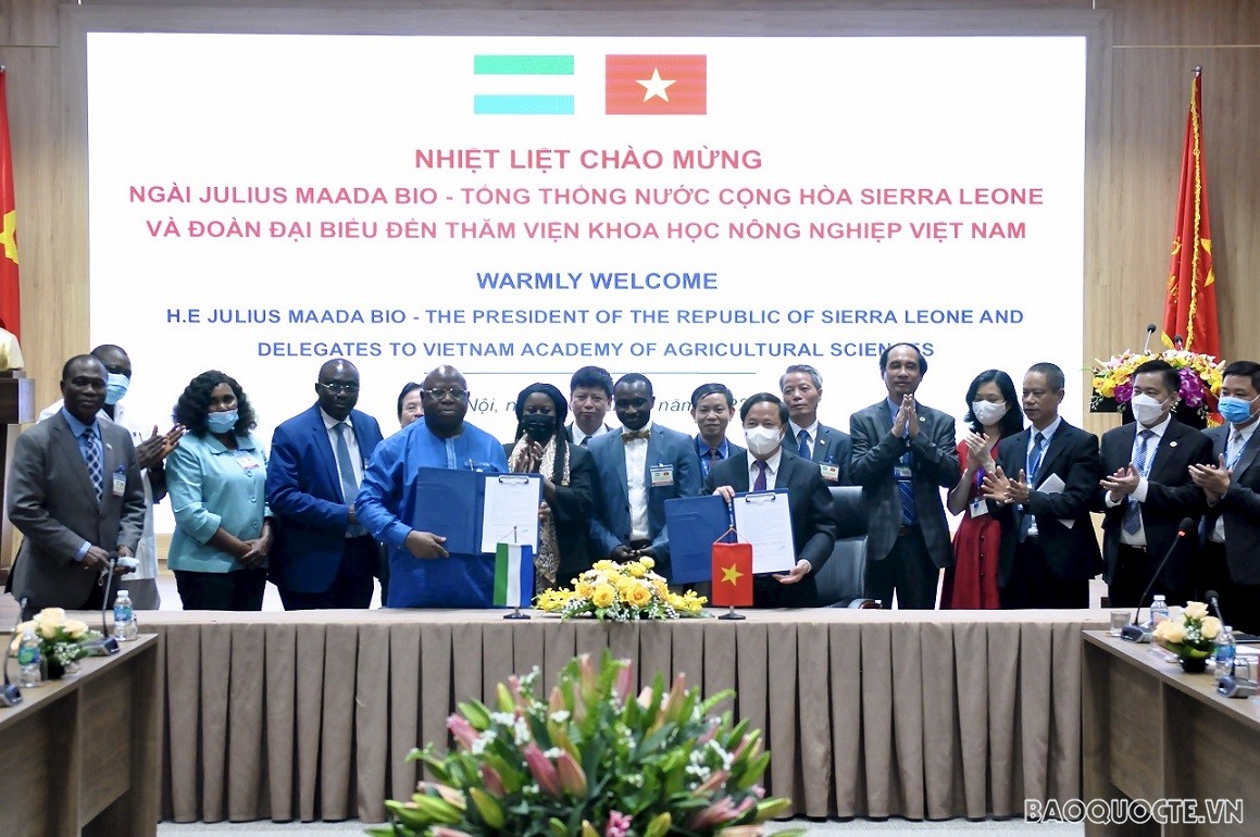 Thúc đẩy hợp tác nông nghiệp Việt Nam-Sierra Leone