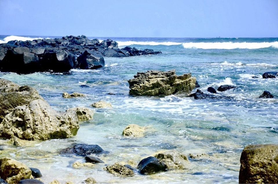 unique five thousand year old fossil reef found in vietnam