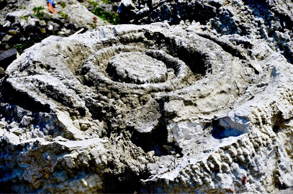 unique five thousand year old fossil reef found in vietnam