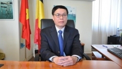 european parliament approves to trade investment deals with vietnam