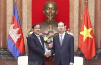 vietnamese firms contribute to cambodias development ambassador