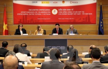 Deputy PM chairs Vietnam-Spain business forum