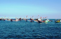 vasep highlights risk of iuu fishing