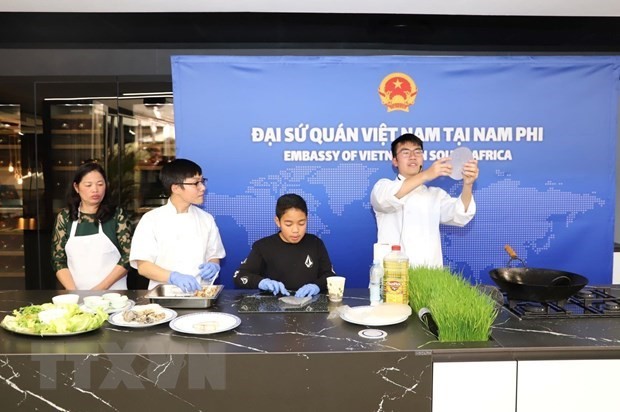 vietnam makes active contributions to asean festival day in south africa