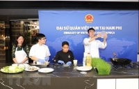 Vietnam makes active contributions to ASEAN Festival Day in South Africa