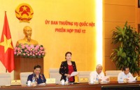 na chairwoman visits con dao ahead of martyrs day