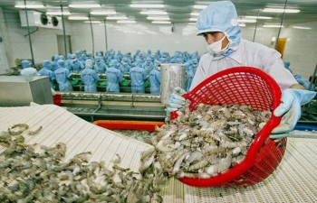 Efforts urged to reduce trade deficit and boost exports to ROK