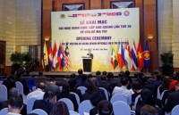 rok poised to increase market share in vietnam drug market