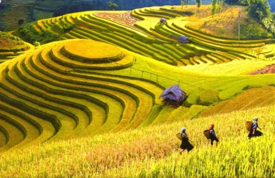 vietnam named among 20 most beautiful countries