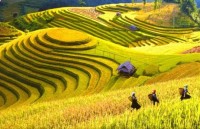 ha noi hosts 321000 foreign visitors in september