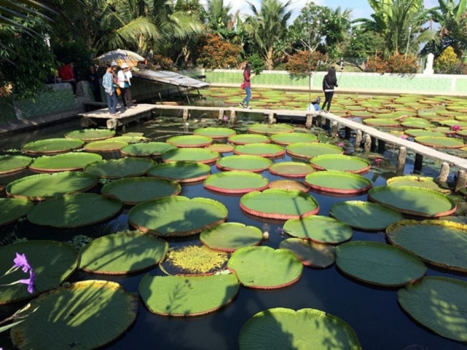 king lotus pagoda top destination in western region