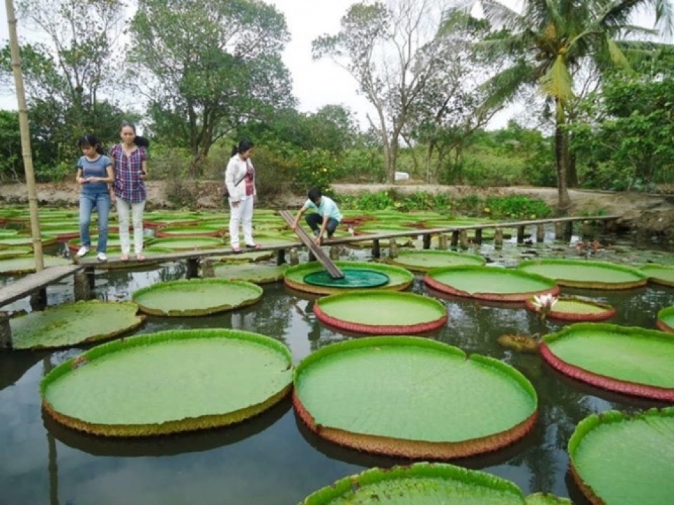 king lotus pagoda top destination in western region