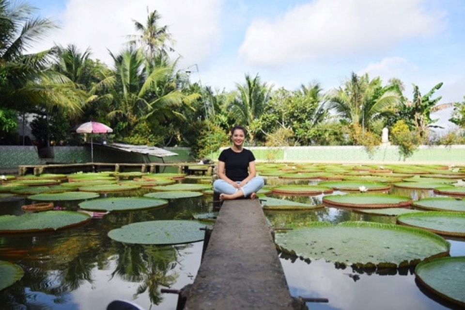 king lotus pagoda top destination in western region