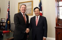 Deputy Prime Minister Pham Binh Minh visits UK