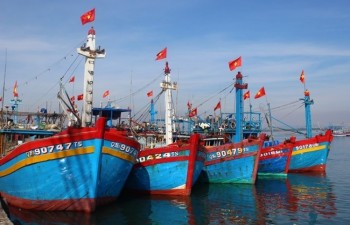 Vietnam won’t tolerate IUU fishing: MARD