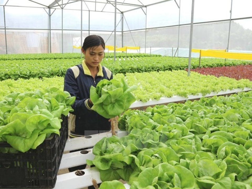 vietnams economy needs new drivers for growth