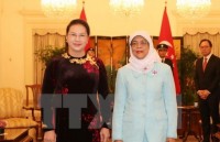 president hails vietnam singapore strategic partnership