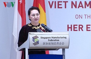 Vietnam encourages Singaporean investments: NA Chairwoman