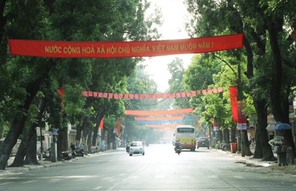 the trees of ha noi