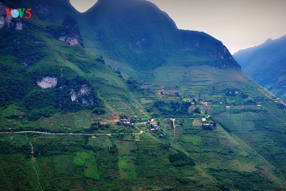 tourists flock to ha giang during buckwheat season