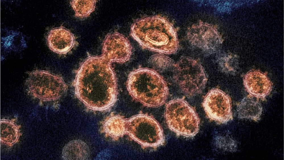 Biến thể mới của virus SARS-CoV-2 và kỳ nghỉ lễ ‘đen tối’ tại Anh