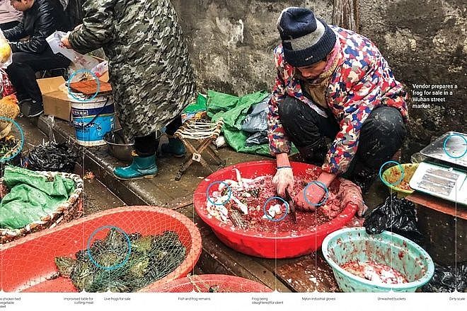 Dịch bệnh viêm phổi do virus corona: Chợ hải sản Vũ Hán có thể không phải là nguồn gây bệnh duy nhất