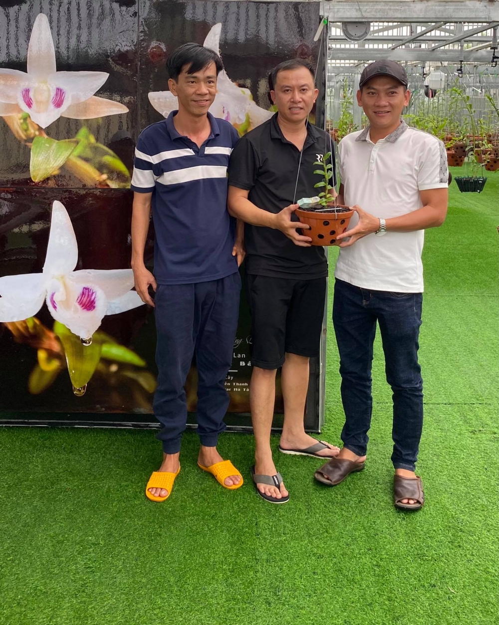 Nguyễn Phú với niềm đam mê hoa lan