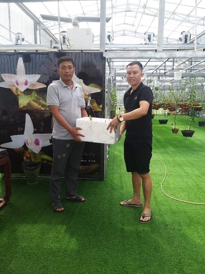 Nguyễn Phú với niềm đam mê hoa lan