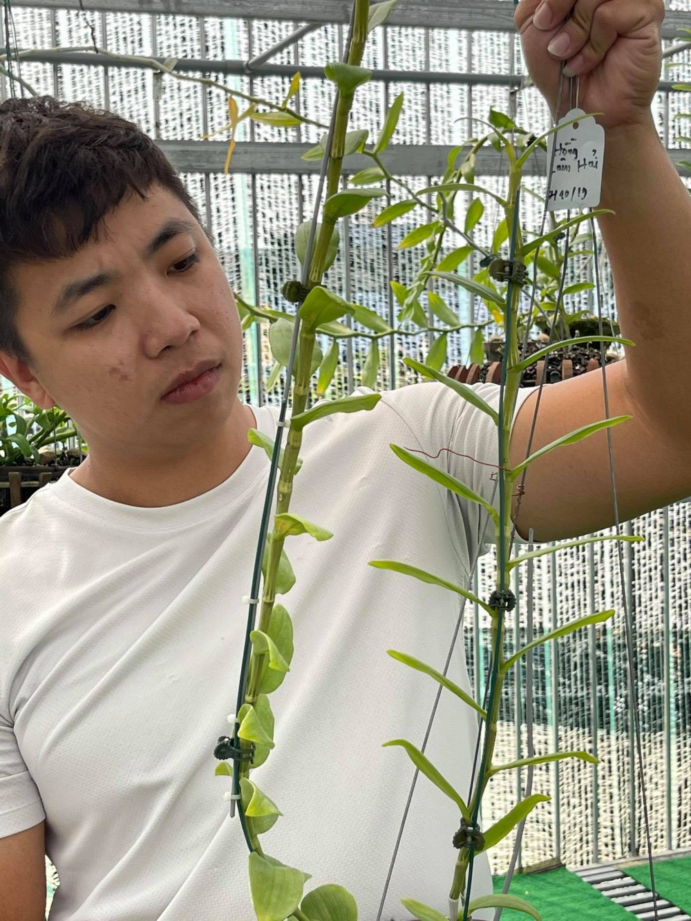 Huỳnh Vũ: Từ chàng trai trông xe đến ông chủ vườn lan giá trị
